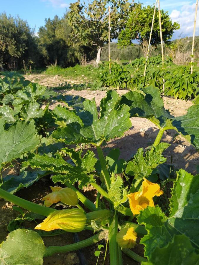 Myparadise-Farm Villa In The Centre Of South Crete Kalamaki  Luaran gambar